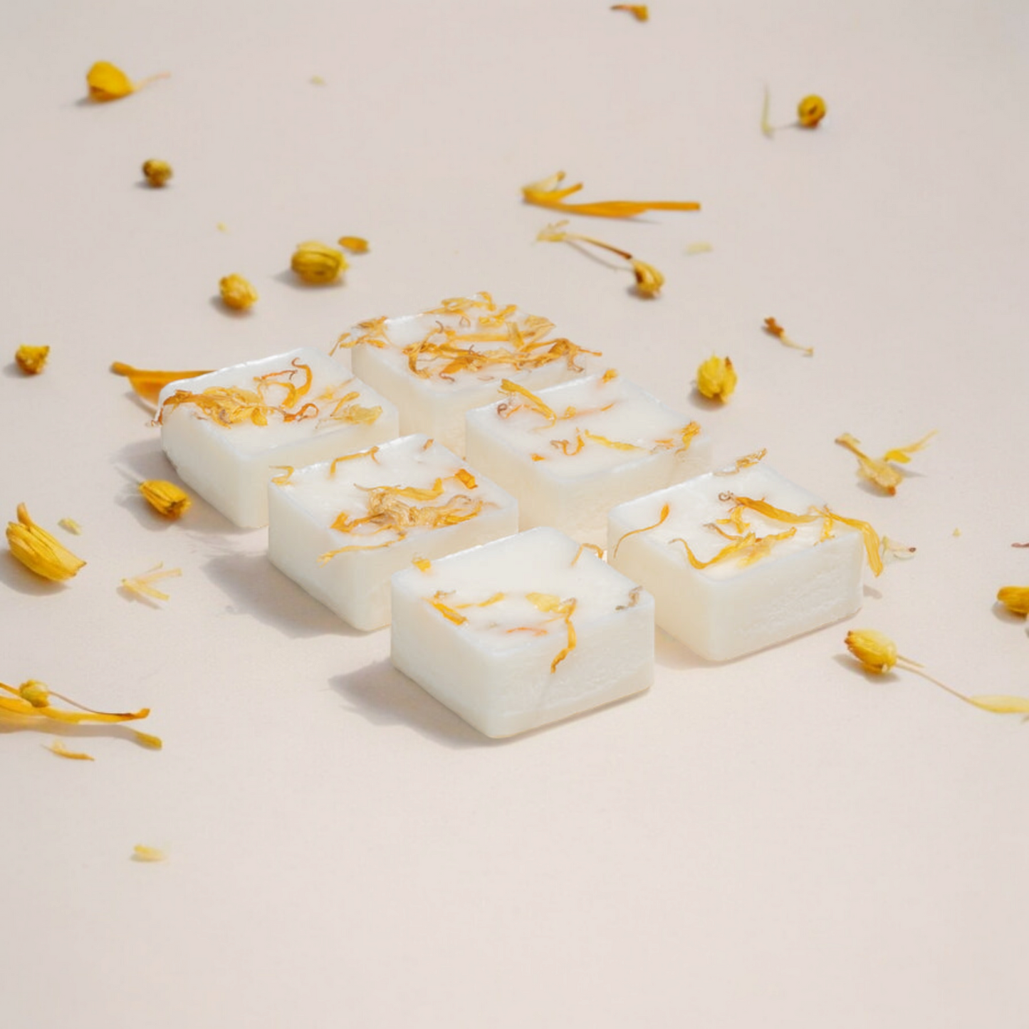 Botanical Wax Melts