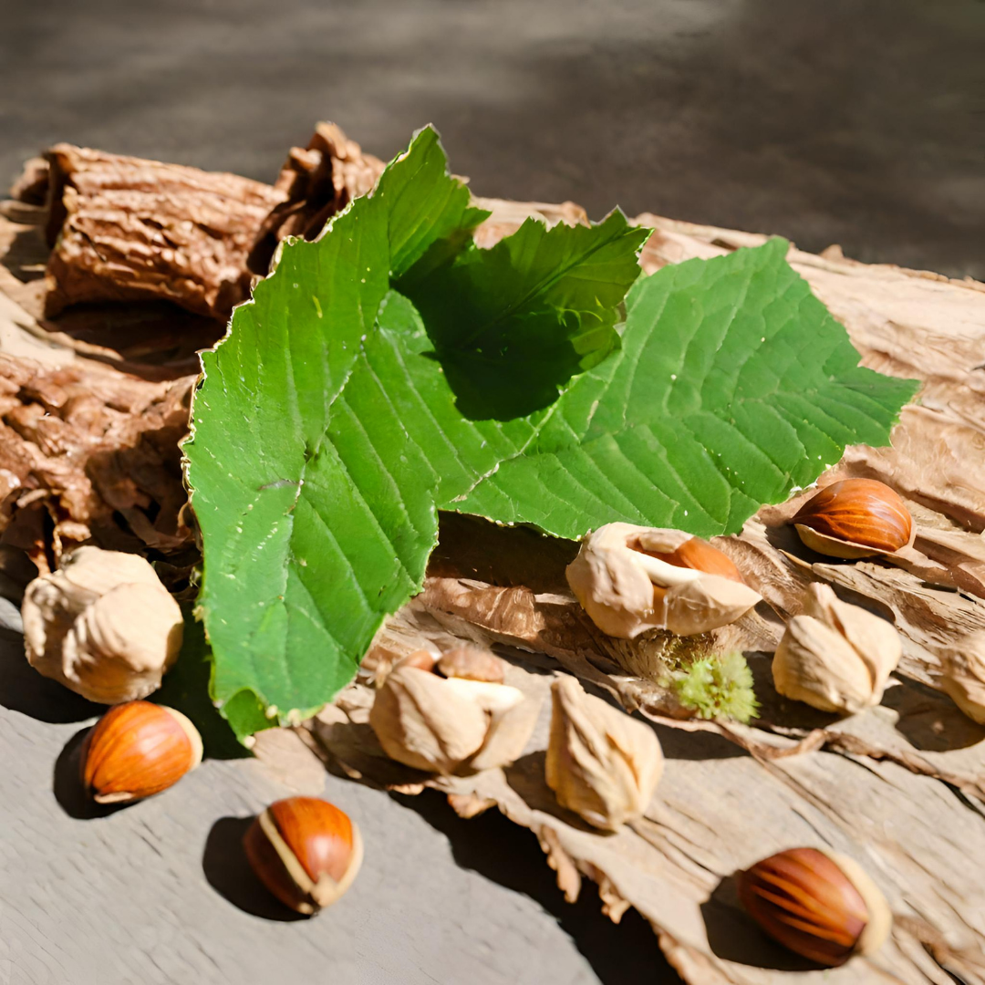 English Oak & Hazelnut Candle