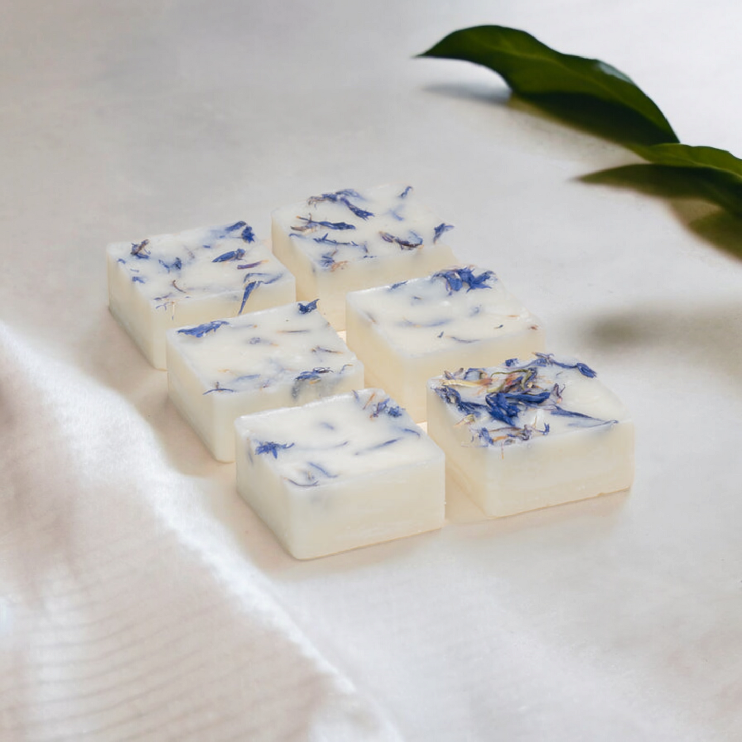 Botanical Wax Melts